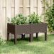 Maison Exclusive Jardinière sur pieds, marron, 80x40x42 cm, plastique PP