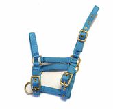 Rhinegold Nylon Veulen Halster - Turquoise