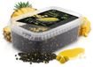 Delphin Reaxe READY&GO Pelletbox | 400g Maïs Ananas