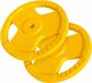 Gorilla Sports Halterschijven - 2 x 15 kg - Gripper Gietijzer met Coating - 30mm