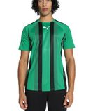 Puma Teamliga Shirt Korte Mouw Heren - Groen / Zwart | Maat: XL