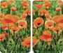 Unyqoos® Set van 2 afdekplaten