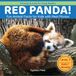 Red Panda!: Fun Animal Facts for Kids with Real Photos