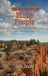 The Libri GmbH The Mystery of the Stone People