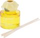 H@S Decoration Geurverspreider 100ml 3 ass. geur