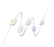 eufy E22 permanente lichtketting voor buiten, bediening via app | RGBWW Smart kerstverlichting, IP67 waterdicht, 15 m, met 60 drievoudige leds