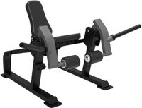 Taurus Iso Leg Extension Sterling