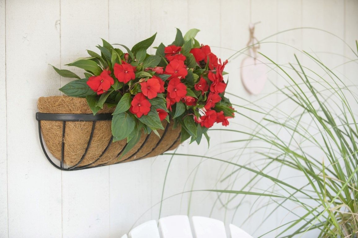 Nature Hanging basket smeedijzer zwart H16 5x61x16cm - 8711338701225
