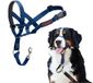 Halti Headcollar - Cobalt Blue - Maat 4