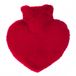 Pasper Hart Kruik met Hoes 1 Litre - Rouge
