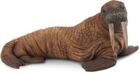 Collecta Walrus Figurine - (L) - Handgeschilderd - PVC
