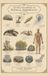 Living Examples of Physical Immortality: Expanded Edition