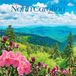 North Brown Trout North Carolina Wild & Scenic 2027 12 X 24 Inch (Hanging) Monthly Square Wall Calendar Plastic-Free