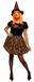Rubies Spiderweb Neon heksenkostuum voor dames, jurk en hoed, oranje, officieel Halloween-kostuum, carnaval, feest en cospplay