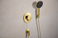 Hansgrohe Ecostat Comfort S - Inbouwdouchekraan, thermostaat, gepolijste goudlook