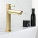 Robinet de lavabo - Acier inoxydable - Robinet de lavabo vintage or brossé - Mélangeur de lavabo de salle de bain - Pour salle de bain - Lavabo (S)