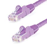 StarTech Cat6 netwerkkabel met snagless RJ45 connectoren - UTP patchkabel - paars - 10m