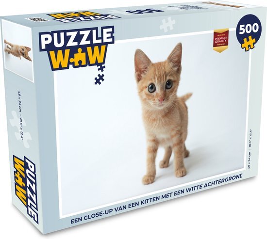 MuchoWow Puzzel Een close-up van een kitten met een witte achtergrond - Legpuzzel - Puzzel 500 stukjes - Sinterklaas cadeautjes - Sinterklaas voor grote kinderen