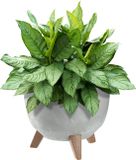 KADAX Kunststof bloempot met drie steunen, ronde bloembak, plantenpot, bloempot voor balkon, woonkamer (grijs, diameter 29 cm)
