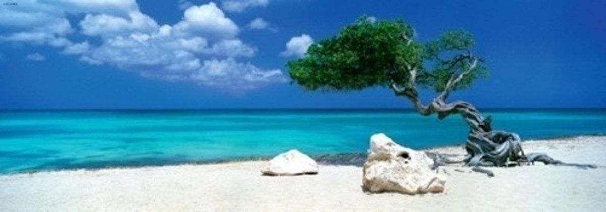 Heye Divi Divi Tree - Legpuzzel - 1000 Stukjes - blauw