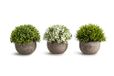 Oppset Kunstplanten, kunstgras met kleurrijke bloemen in grijze potten, ideaal voor woonkamer, eetkamer of kantoor, set van 3