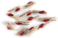GLOREX Lieveheersbeestje mini wasknijper, hout, meerkleurig, 11 x 5,6 x 1 cm, 12 stuks