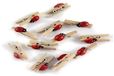 GLOREX Lieveheersbeestje mini wasknijper, hout, meerkleurig, 11 x 5,6 x 1 cm, 12 stuks