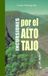 Incursiones por el Alto Tajo: 1