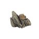 Askoll 281222 ORNAMENT STONE GREY XS 9,8 X 7,8 X 5,8