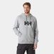 Helly Hansen Sweat à capuche Logo 2.0 Gris M