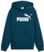 Puma ESS No.1-logo-hoodie voor kinderen FL B 684908