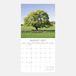 The Gifted Stationary TGSC Bomen Kalender 2027