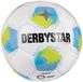 Derbystar Apus S-Light 350g Fairtrade v26