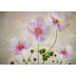 Papier peint panoramique - Fleurs - 325 cm x 228 cm