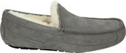 UGG Ascot Heren Sloffen - Grey - Maat 45
