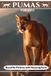 Pumas for Kids: Beautiful Pictures with Amazing Facts