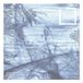 Sonic Rendezvous Ensemble Alraune & Anna Fusek - Strues (CD) (Extended Edition)