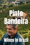 Pinto Bandeira Wines in Brazil