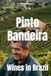 Pinto Bandeira Wines in Brazil