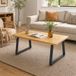 WINS Set De 2 Pieds De Table Trapézoïdaux En Acier Noir, 12 Trous Avec Vis, Support 75 Kg, Pour Banc, Table Basse