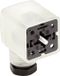 Lumberg Automation GDM21F6-L12-10D 934888016 Connecteur de vanne Transparent