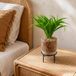Leaf Design UK Realistische Kunstbladerplant met Pot