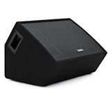 SubZero C12M 12 400 W moniteur de scène passif