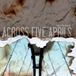Suburban Across Five Aprils Living in the Moment