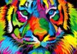 Diamantmozaïek Tigre arc-en-ciel 30x40 cm
