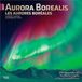Aurora Browntrout Aurora Borealis 2027 12 X 24 Inch Monthly Square Wall Calendar
