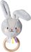 Taf Toys Rattle