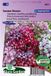 Sluis Garden Vlambloem Summer Showers Mix (Phlox)