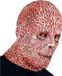 Widmann Freddy Krueger Elm Street Masker