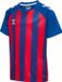 Hummel kindersportshirt Hmlmatch gestreept jersey S/S Kids 233156
